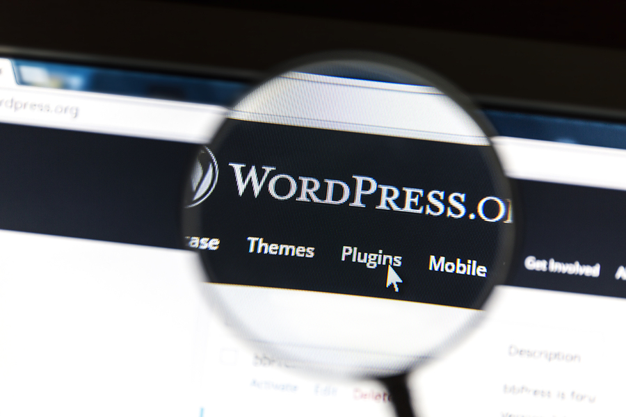 WordPress Blog